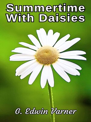 cover image of Summertime With Daisies